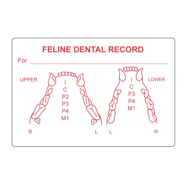 Feline Dental Record 2" x 3" White w/Red